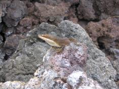 img_marya_0031.JPG